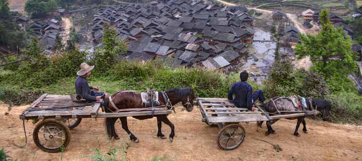 The Chinese Farmer and His Horse