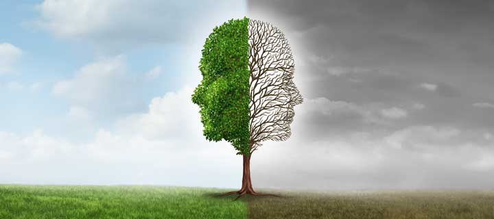 What is the Essence of Mindfulness