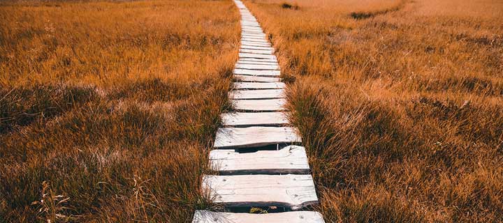 How do You Measure Progress Along Your Path?